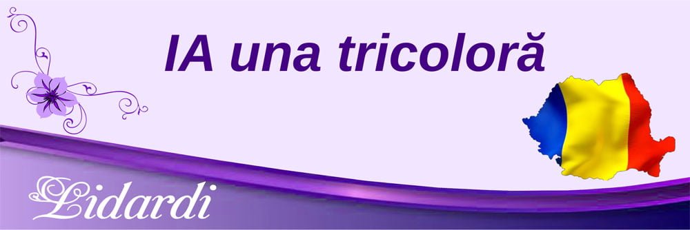 Magazin cu produse marca Lidardi