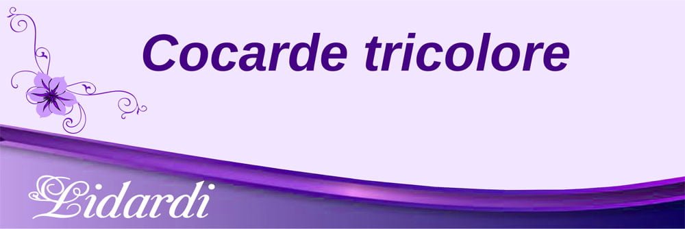 Invitatii nunta Lidardi