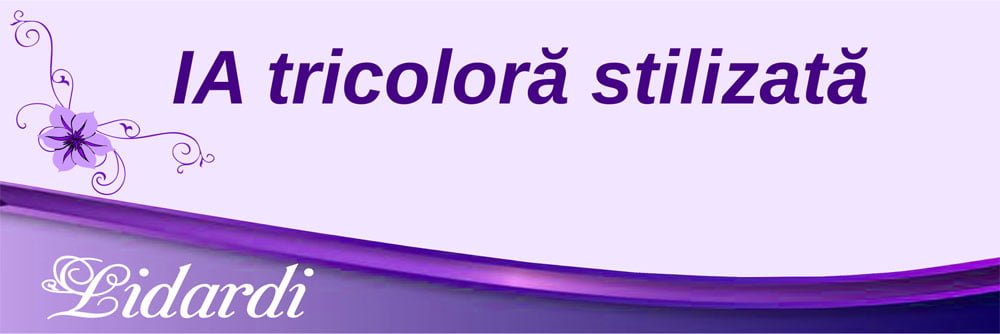 Invitatii nunta Lidardi