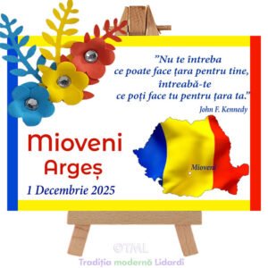 Cocarde tricolore magnetice TML